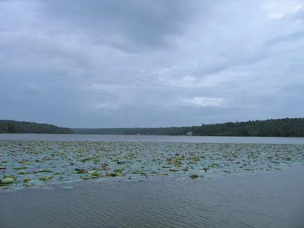 Vellayani Lake